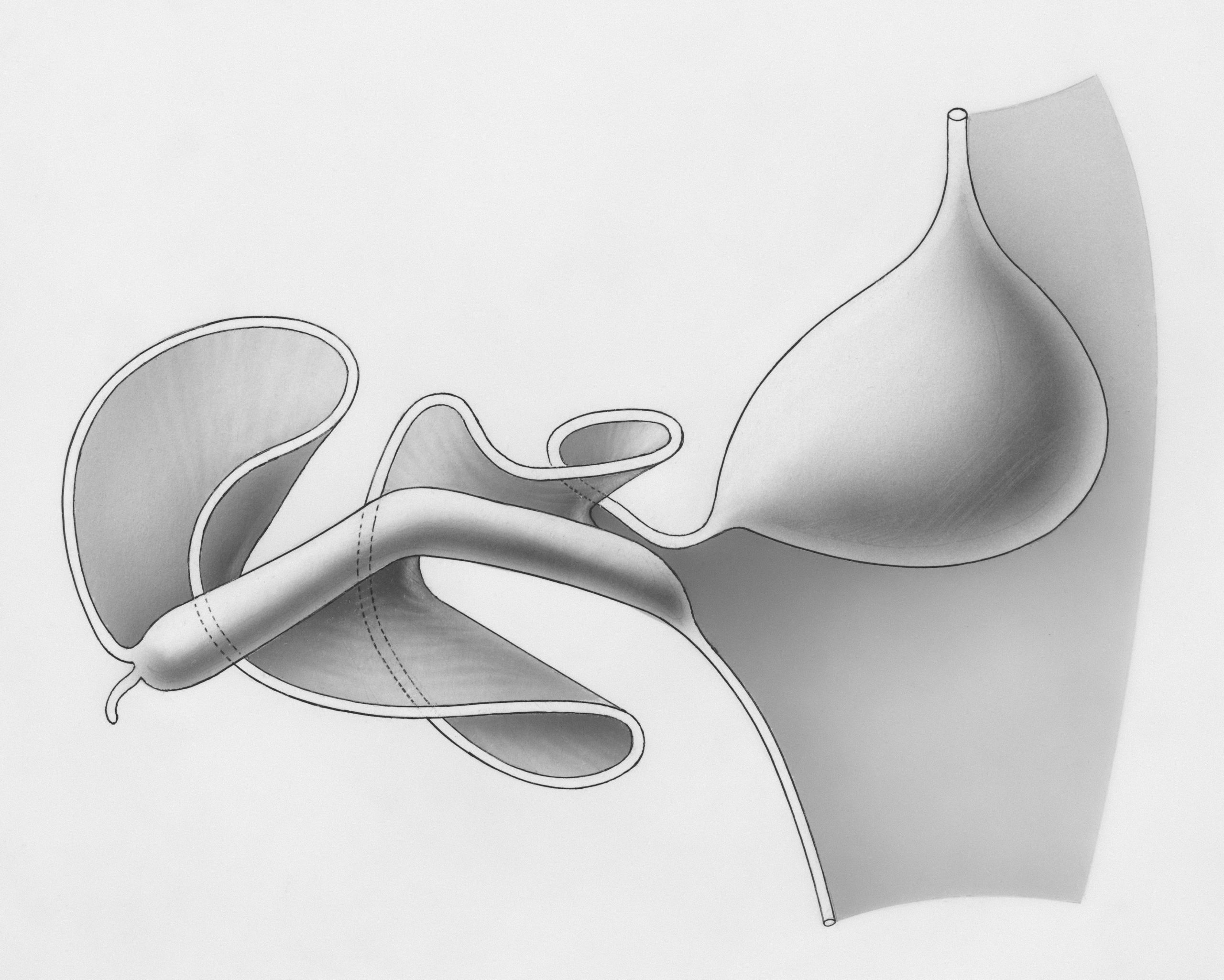 A diagram illustrating diaphragmatic breathing technique highlighting correct posture and airflow path.