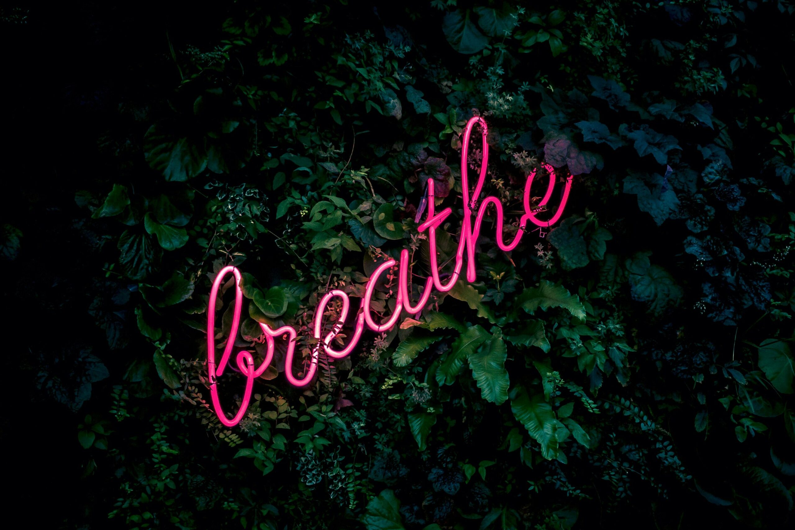 deep breathing exercise