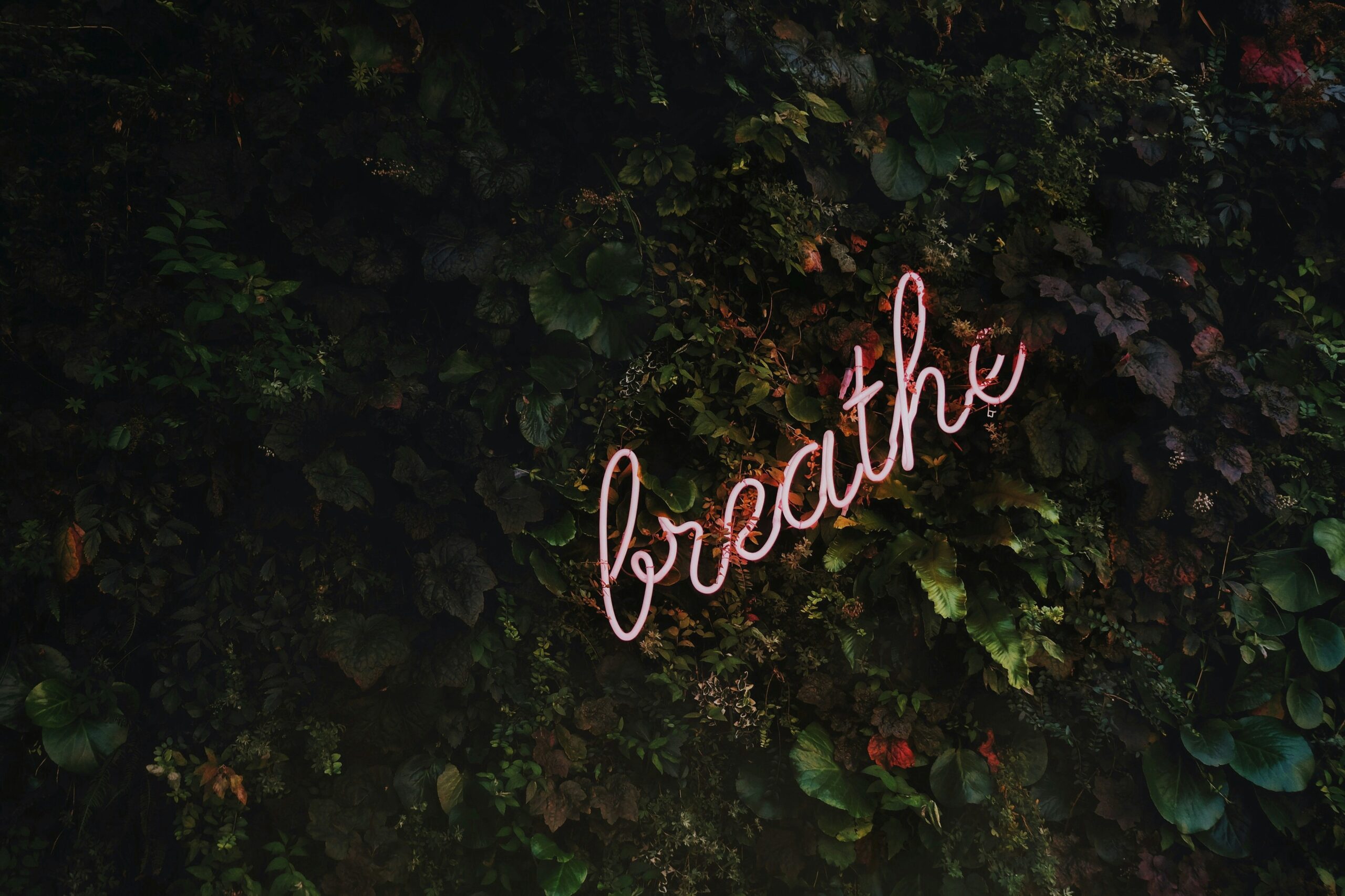 deep breathing exercise