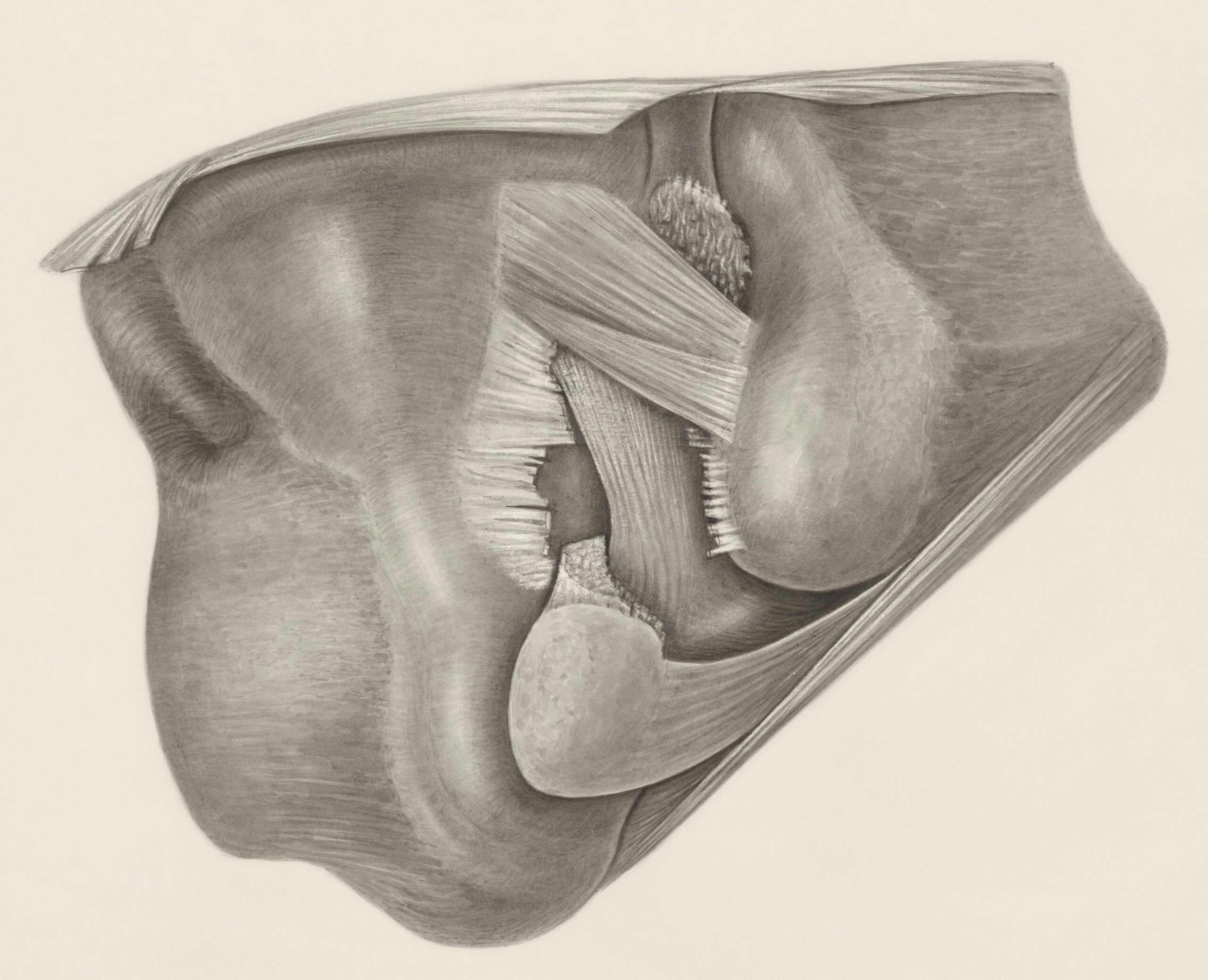 Illustration comparing shallow breathing versus diaphragmatic breathing techniques