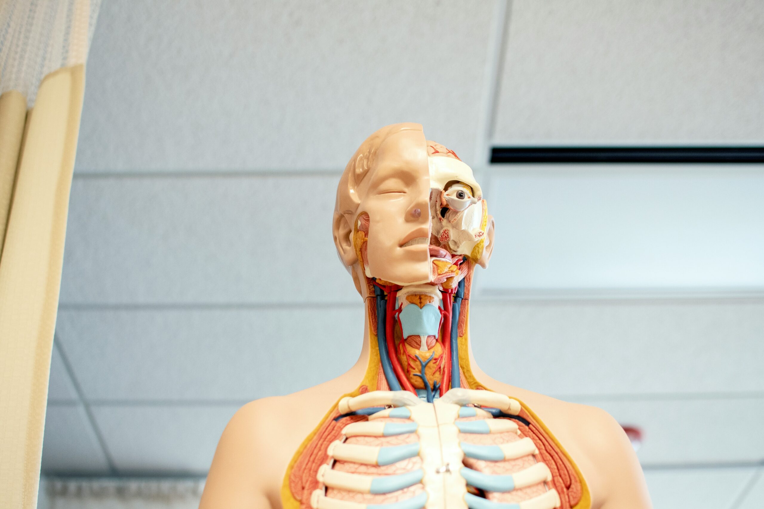 Infographic showing common causes of airway issues and their effects on health