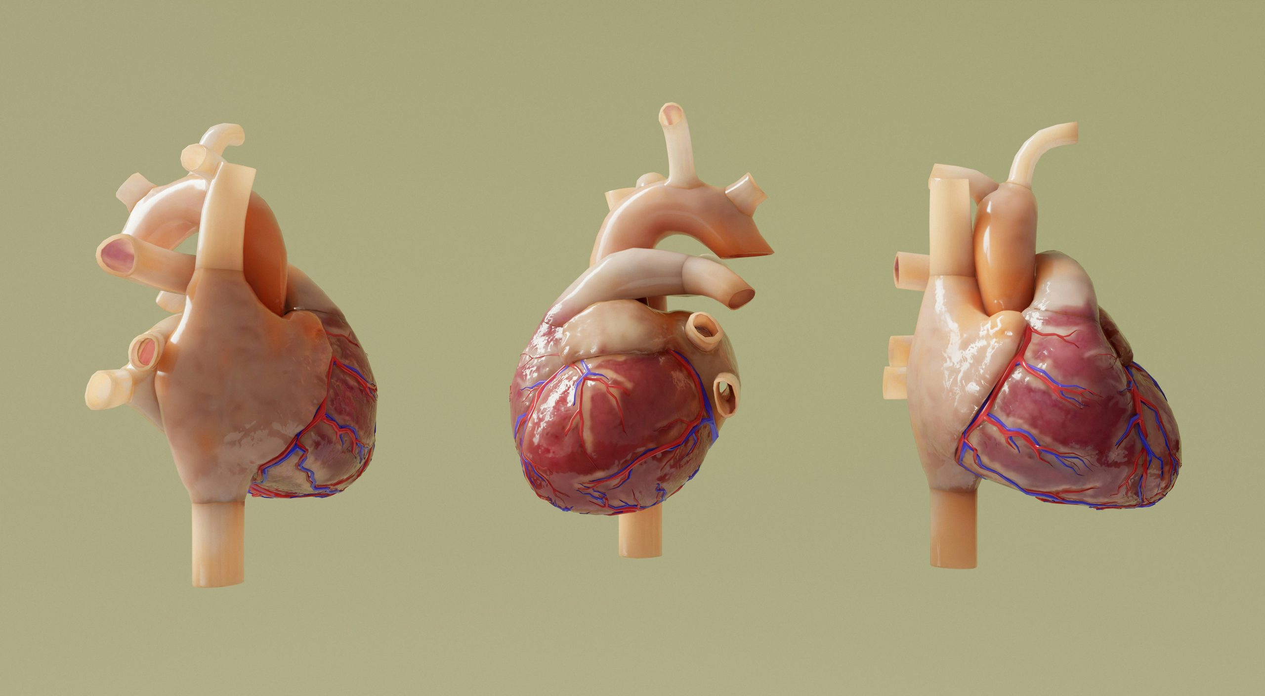 Infographic showing differences between shallow chest breathing and proper diaphragmatic breathing