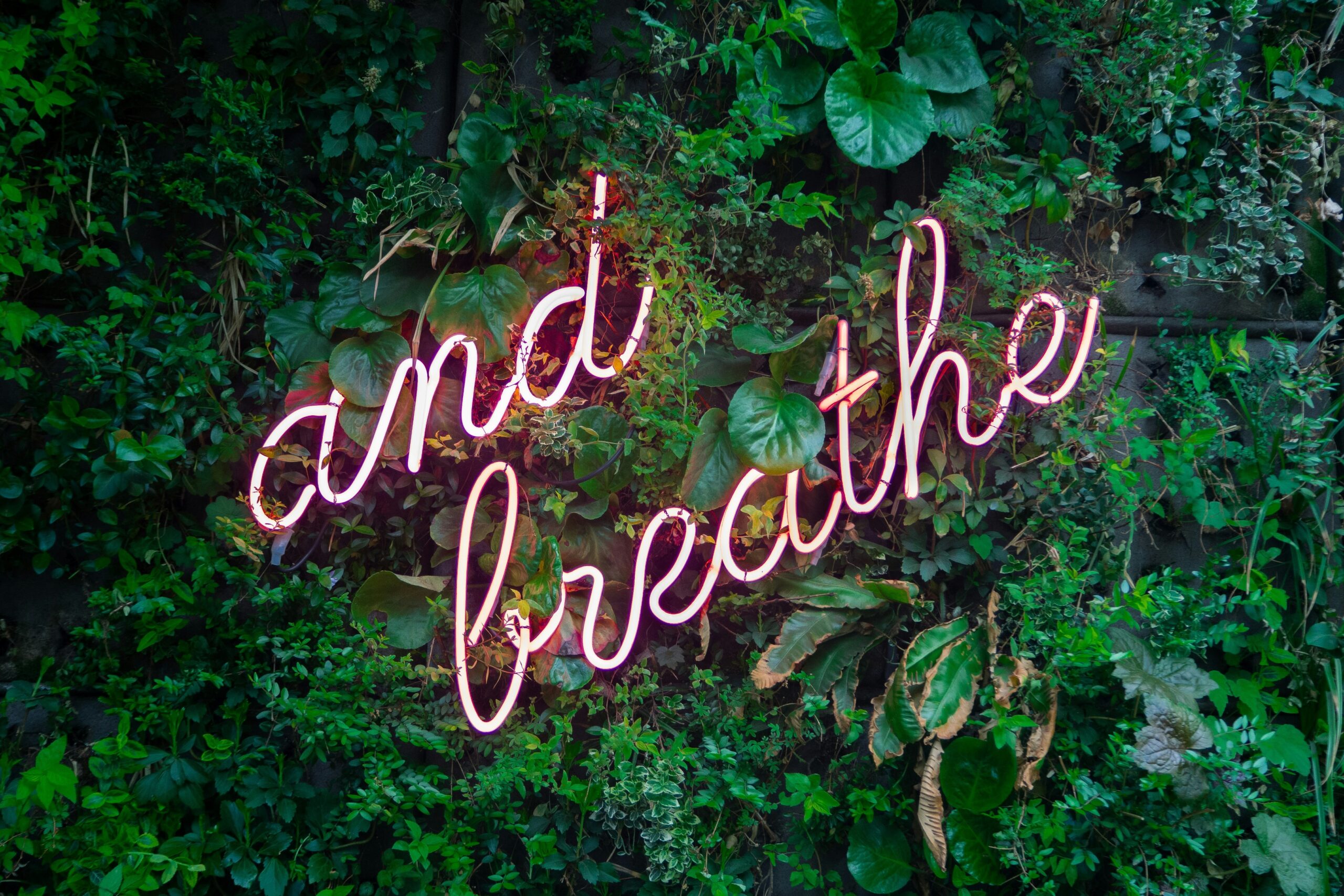 deep breathing exercise