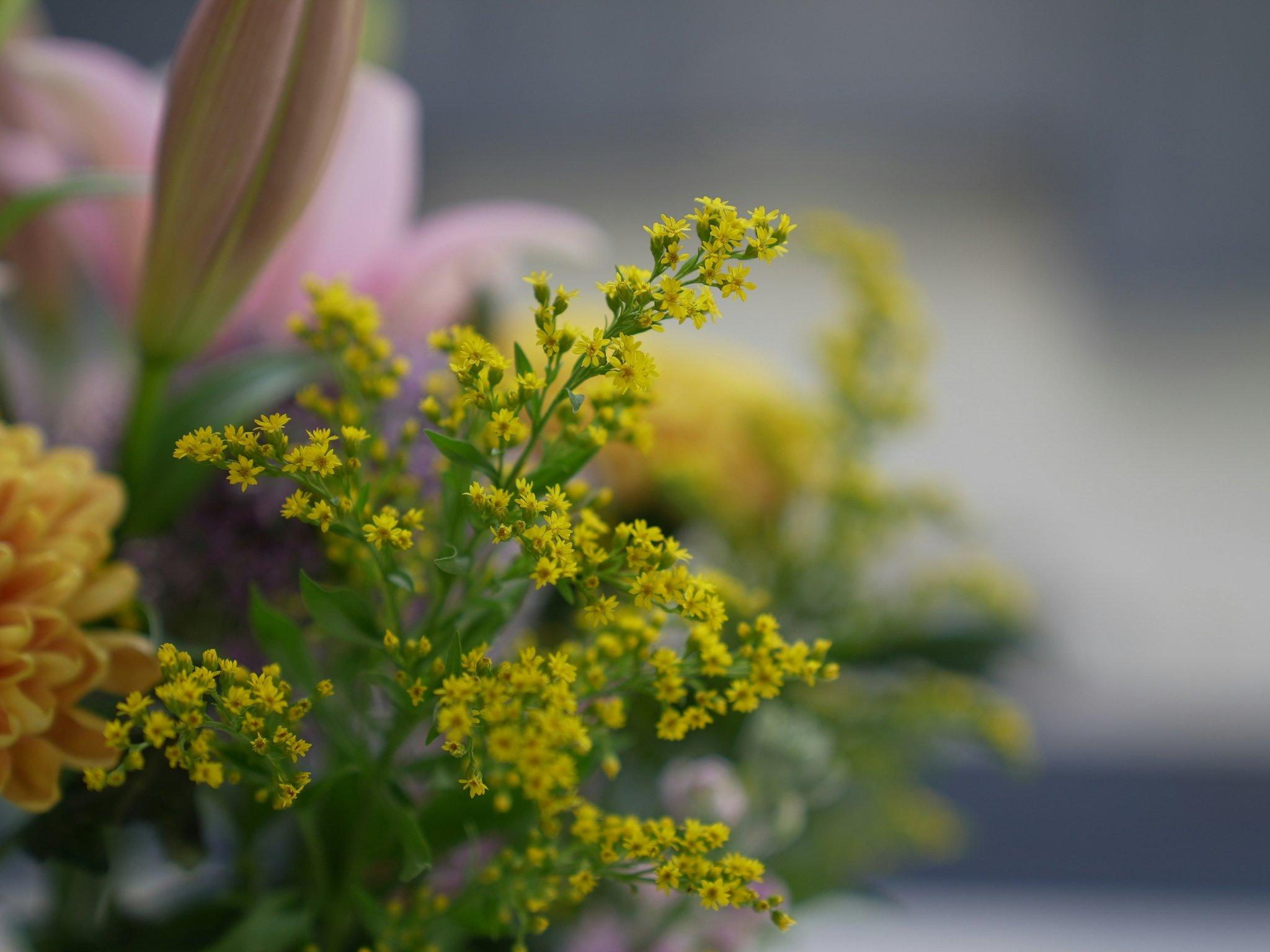 Illustration showing shallow chest breathing versus deep belly breathing