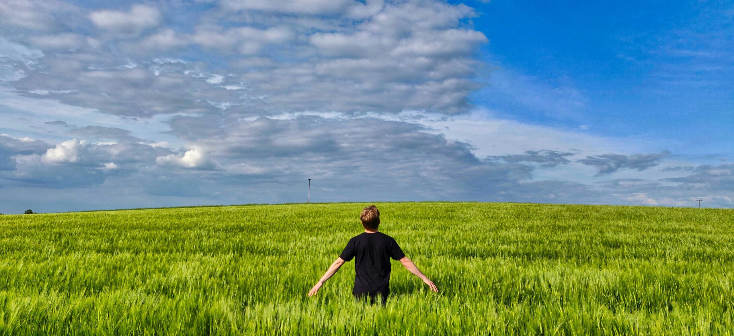 boy in black t-shirt standing on green grass field under white clouds and blue sky