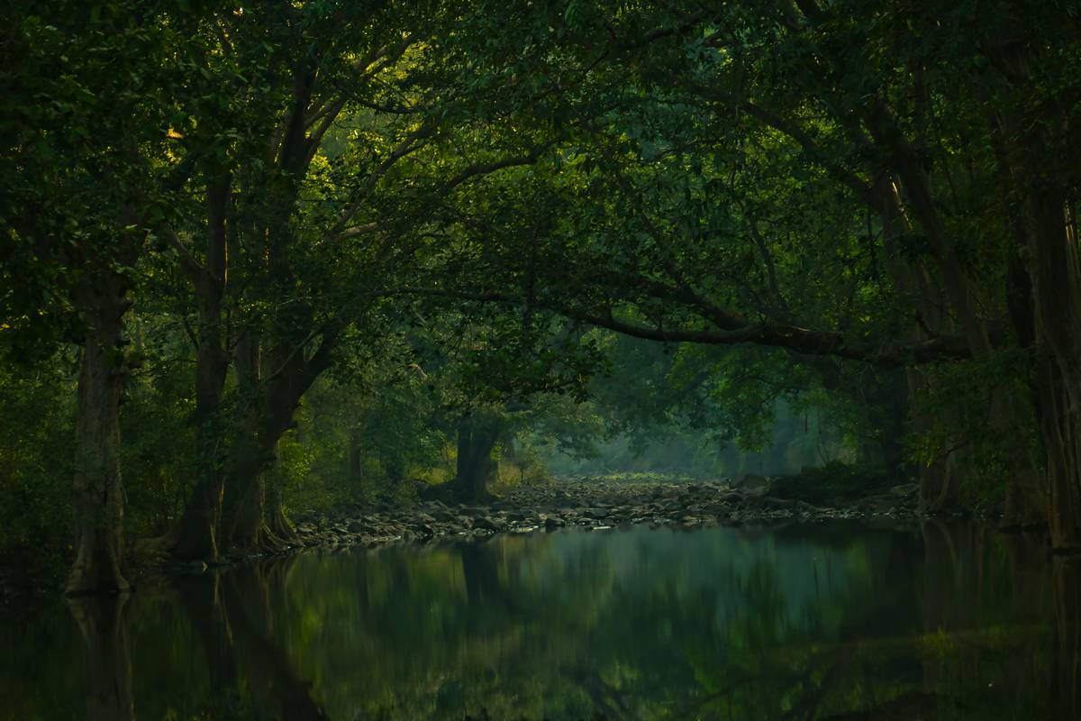 Woman performing diaphragmatic breathing exercise outdoors.